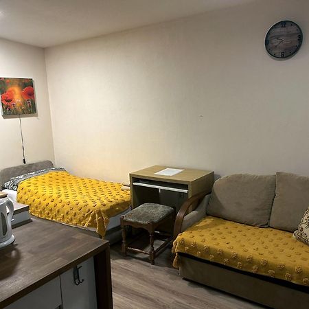 Nowoczesne Studio Z Ogrodem I Parkingiem Poznaň Exteriér fotografie